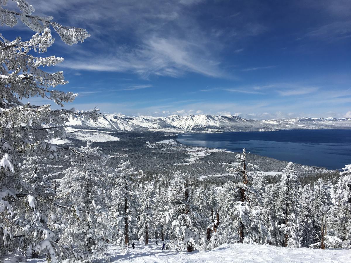 Black Jack Inn South Lake Tahoe Zewnętrze zdjęcie