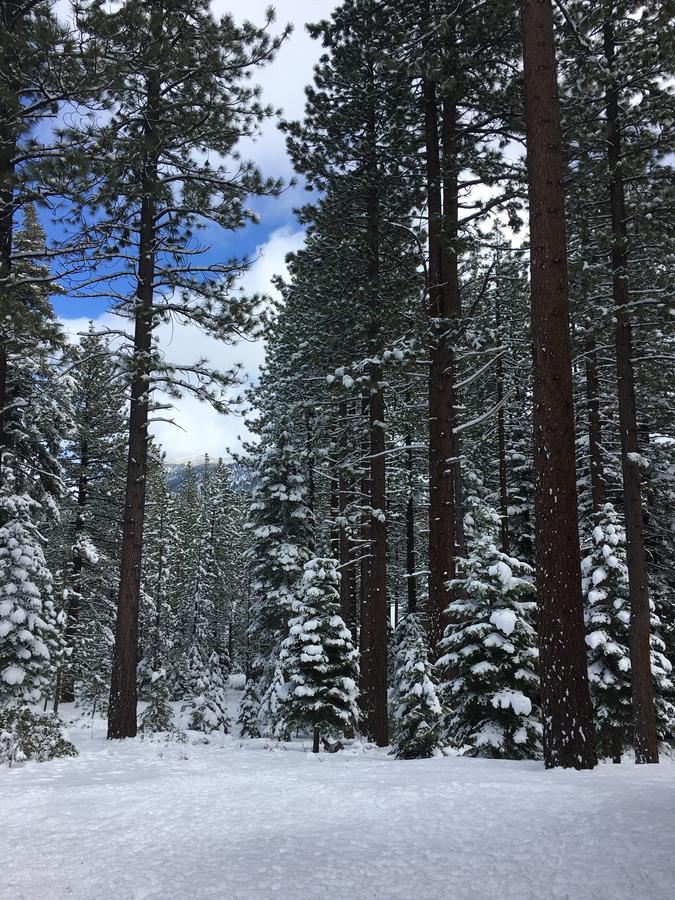 Black Jack Inn South Lake Tahoe Zewnętrze zdjęcie